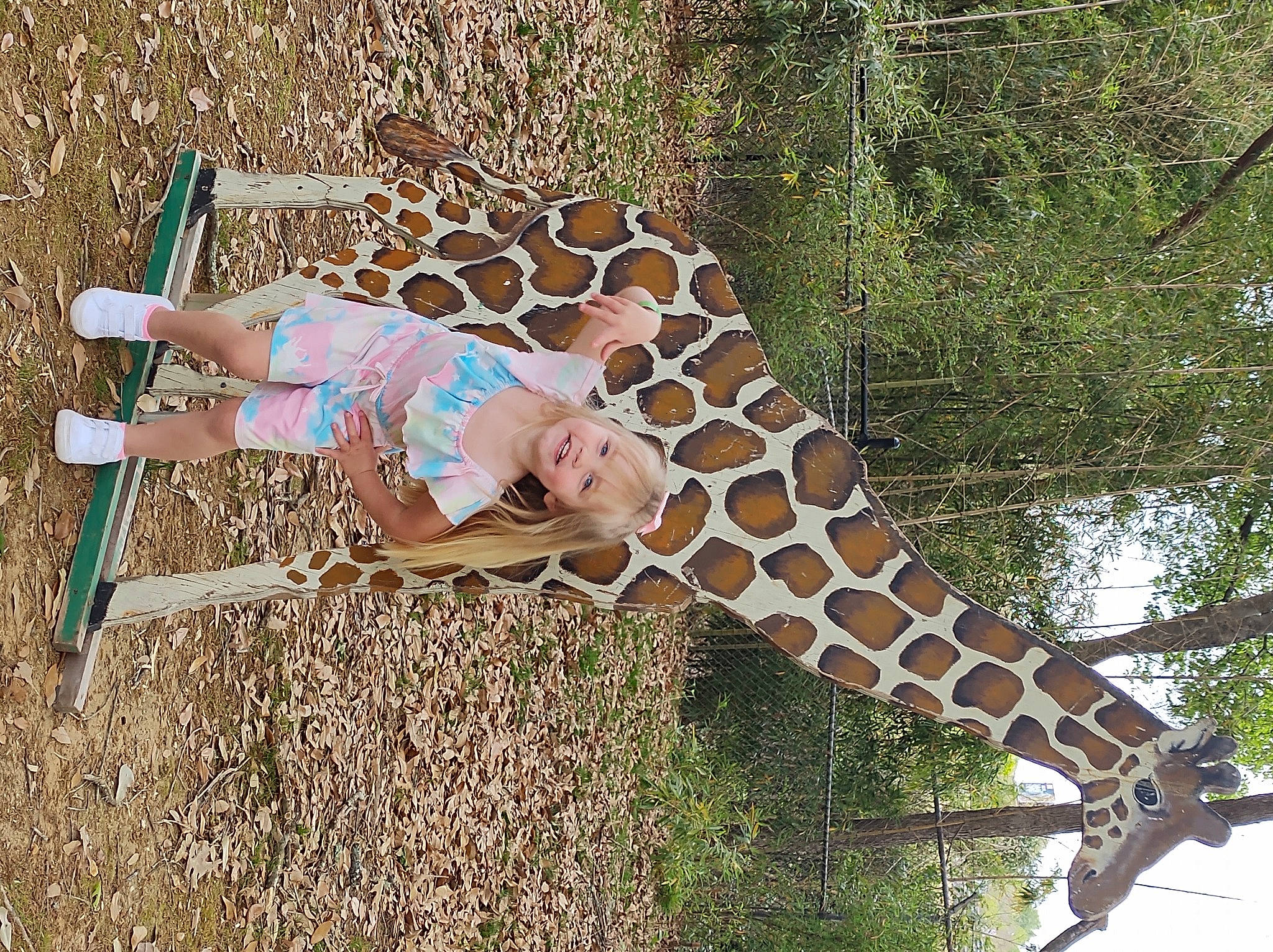 Alila joined the competition — help win amazing prizes! big_cats, fawn, felidae, giraffe, giraffidae, grass, human_leg, joy, landscape, leisure, pattern, people_in_nature, person, plant, recreation, soil, sunglasses, tail, terrestrial_animal, thigh