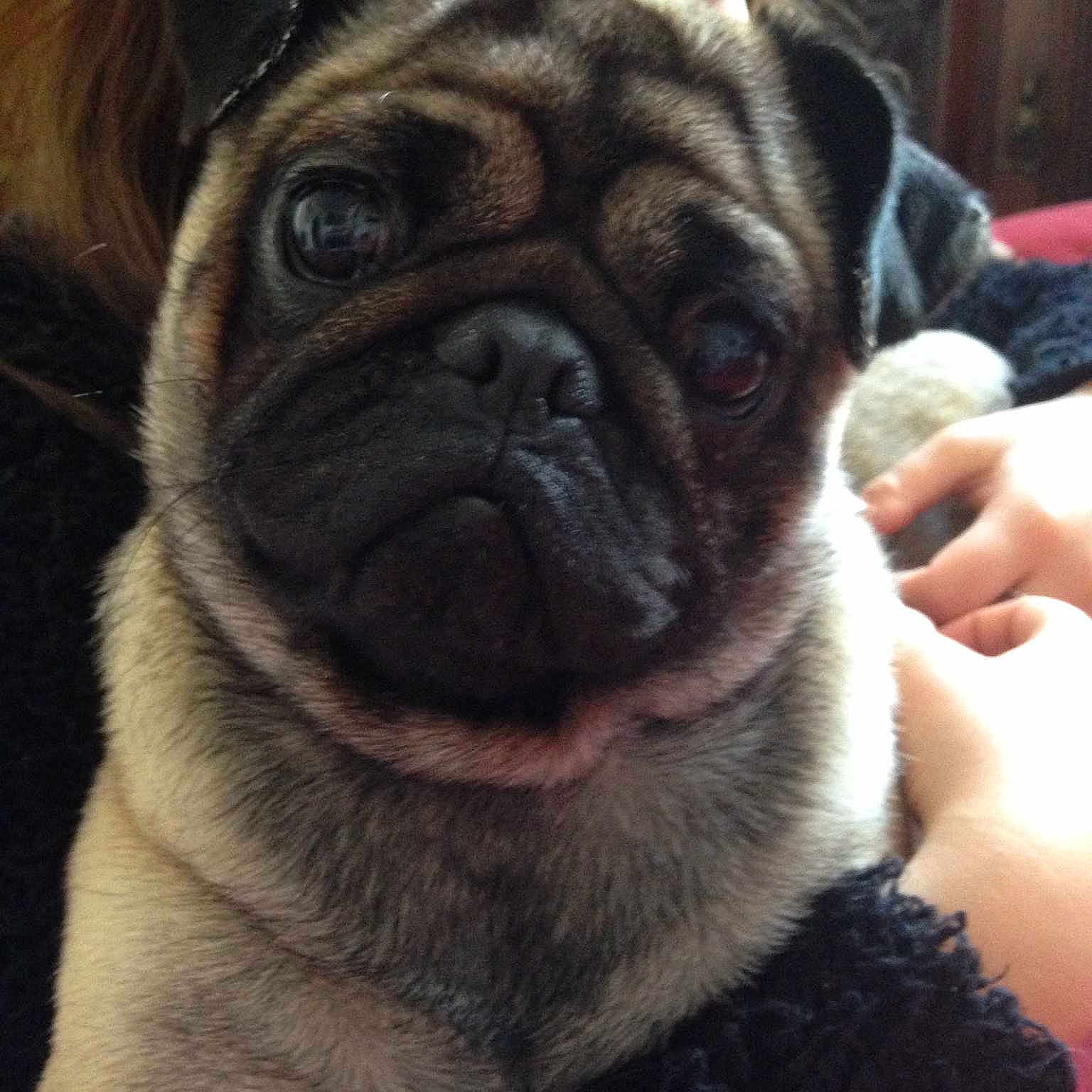 Bruce is registered to the contest to win money with this photo: