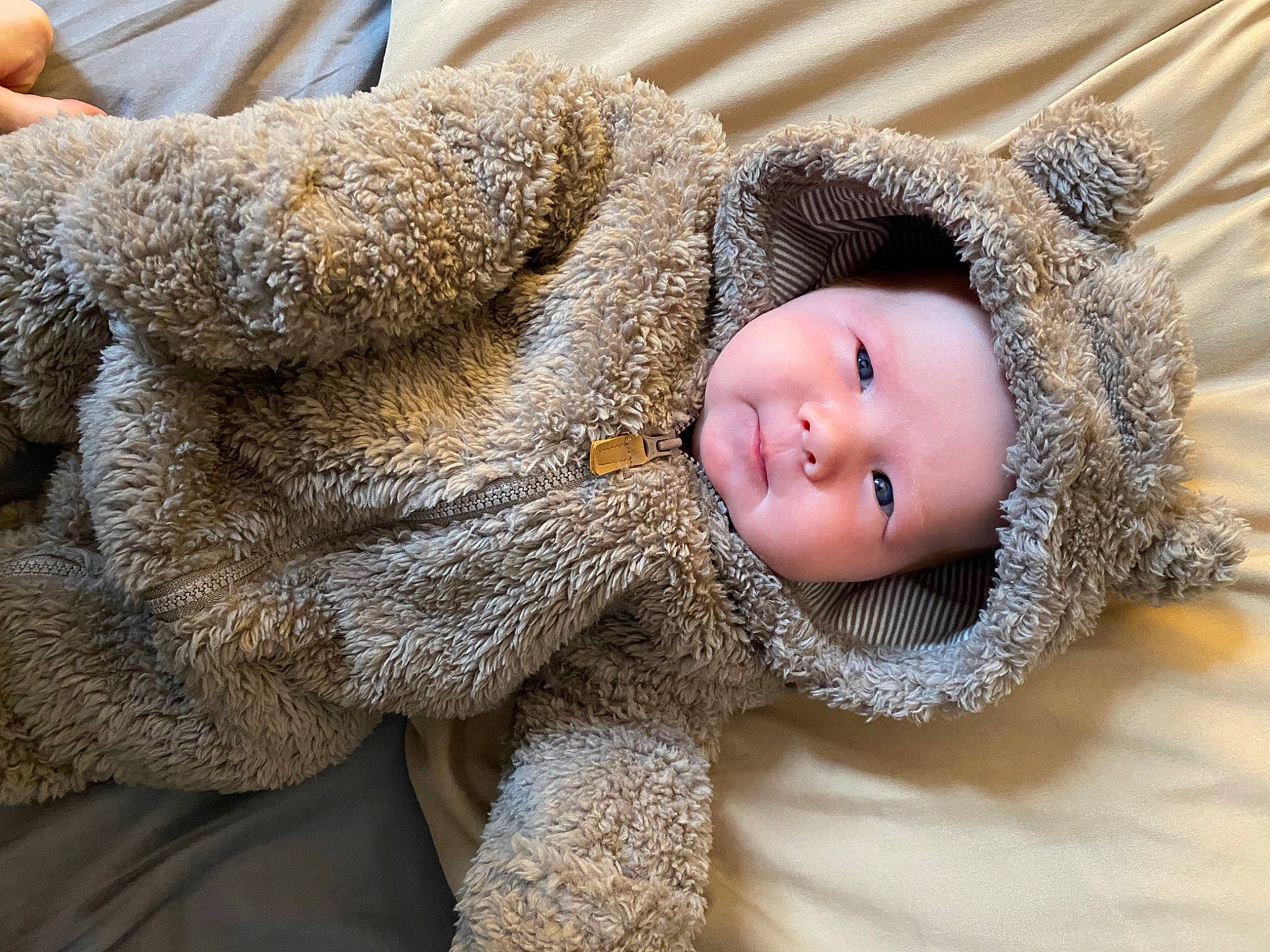 Briar is registered to the contest to win money with this photo: cap, cheek, comfort, eye, eyelash, fawn, freezing, fur, grey, head, headwear, human_body, knit_cap, nose, person, skin, snout, stuffed_toy, toddler, toy