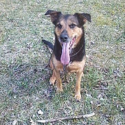 Noa a rejoint le concours — aidez-le/la à gagner de superbes lots !