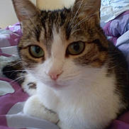 Indorina a rejoint le concours — aidez-le/la à gagner de superbes lots !