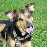 Noa a rejoint le concours — aidez-le/la à gagner de superbes lots !