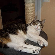 Indorina participe au concours pour gagner de l'argent avec cette photo :