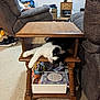 Roo joined the competition — help win amazing prizes! black_and_white, blur, books, carpet, casual, cat, cozy, furniture, home, household, indoor, living_room, magazines, person, pet, recliner, relaxing, stretching, table, wooden
