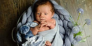 Elie participe au concours pour gagner de l'argent avec cette photo : baby, basket, blanket, bunny, child, cozy, cute, flowers, indoor, infant, knit, newborn, peaceful, plush_toy, portrait, resting, small_feet, soft_texture, wooden_floor, wrapped