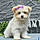 Millie