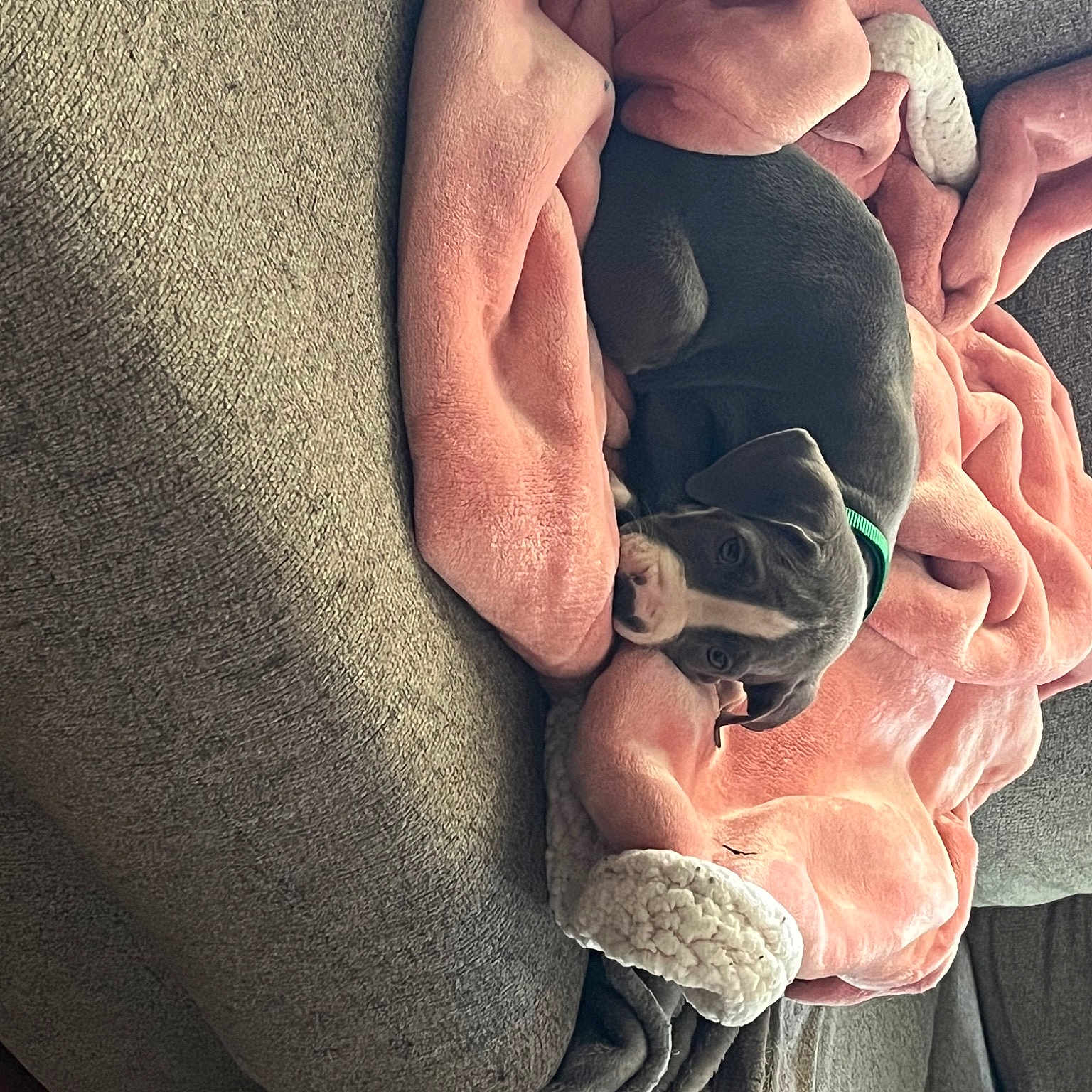 Major is registered to the contest to win money with this photo: abdomen, chest, comfort, elbow, eye, finger, gesture, hand, happy, human_body, human_leg, jaw, nail, neck, rose, sleeve, thigh, thumb, trunk, wrist