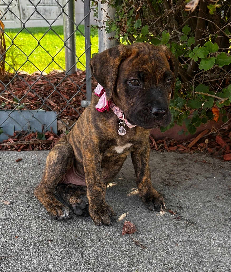 Luna