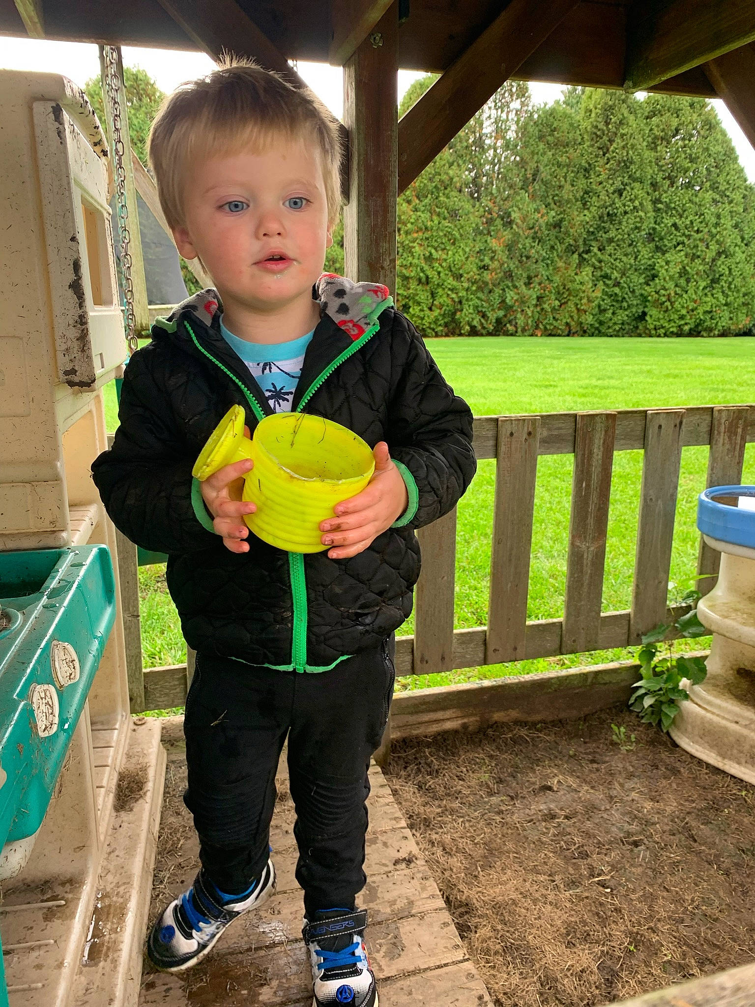 Roman is registered to the contest to win money with this photo: child, fence, fruit, fun, grass, happy, head, leaf, leisure, people_in_nature, person, plant, play, recreation, standing, t_shirt, toddler, tree, vacation, vertebrate