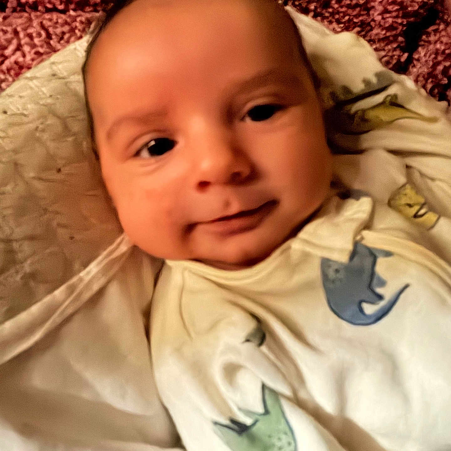 Wesley is registered to the contest to win money with this photo: baby, infant, face, smile, blanket, clothing, fabric, pattern, fish_print, knitted_blanket, soft_texture, portrait, lying_down, indoor, warm_lighting, cute, child, person, cozy, closeup