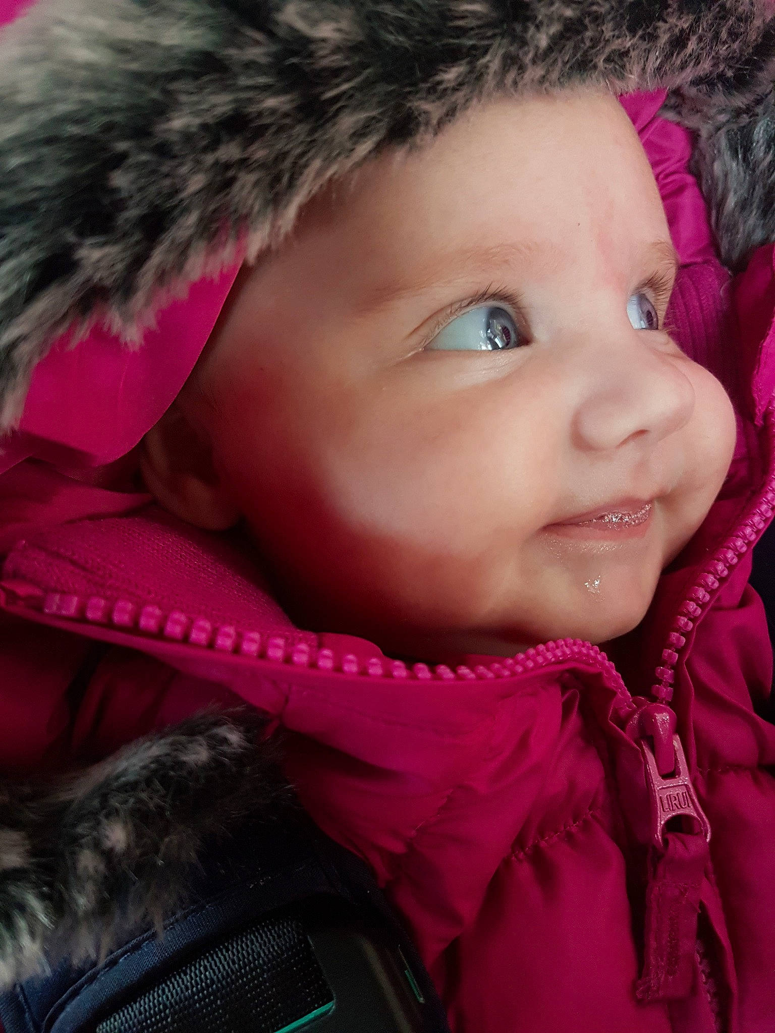 Mélodie participe au concours pour gagner de l'argent avec cette photo : beauty, cheek, child, chin, close_up, eye, eyebrow, face, facial_expression, forehead, fur, hair, head, lip, nose, outerwear, person, pink, red, skin