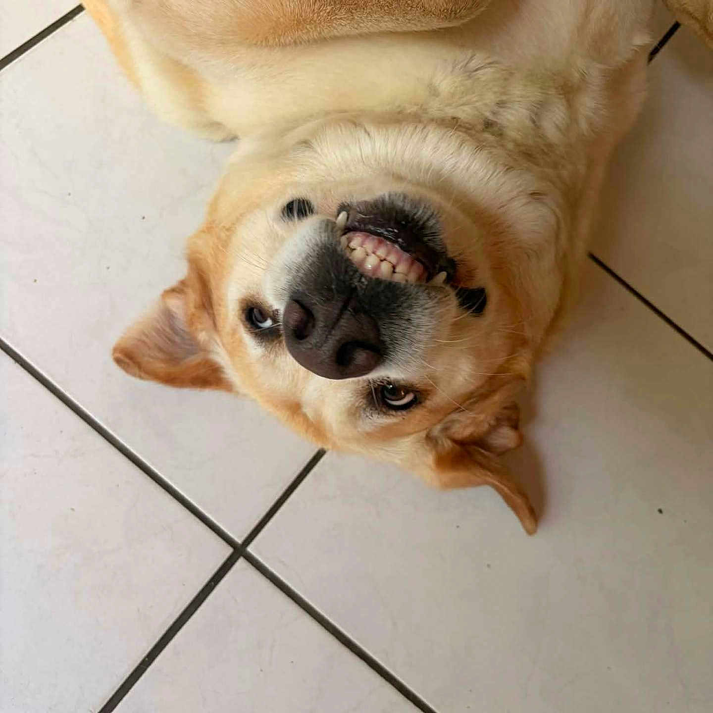 Bella
