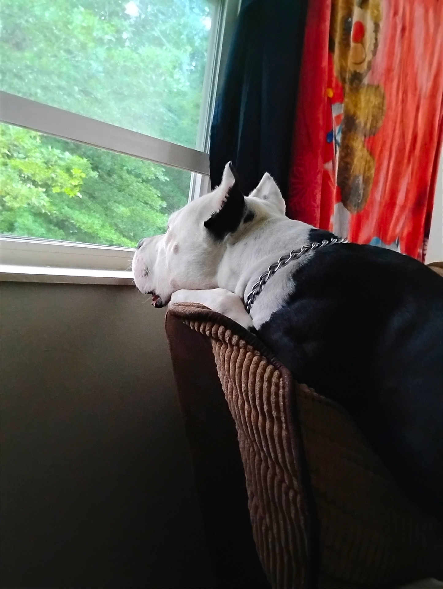 Zeus