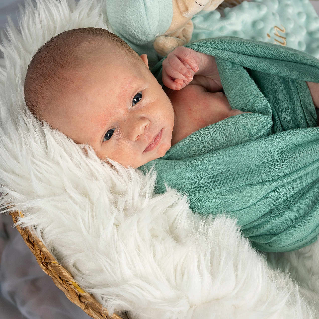 Martin a rejoint le concours — aidez-le/la à gagner de superbes lots ! baby, basket, blanket, cozy, eyes_open, fabric, faux_fur, hand, infant, lying_down, newborn, nursery, peaceful, photography, portrait, skin, soft_texture, swaddle, teal, tiny_feet