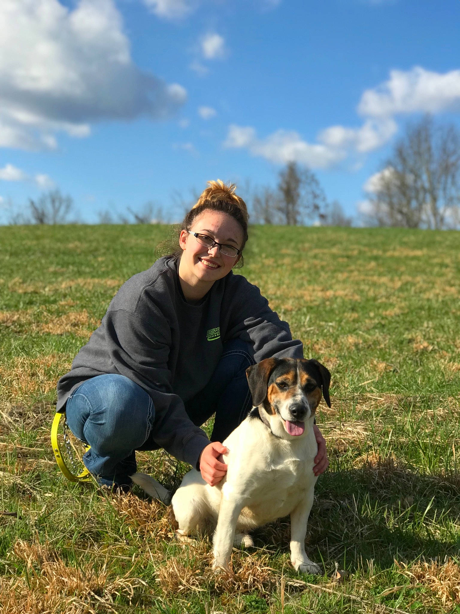 Kibbles is registered to the contest to win money with this photo: canidae, carnivore, companion_dog, danish_swedish_farmdog, dog, dog_breed, dog_hiking, field_trial, fox_terrier, grass, halden_hound, hunting_dog, jack_russell_terrier, mammal, russell_terrier, sporting_group, terrier, vertebrate