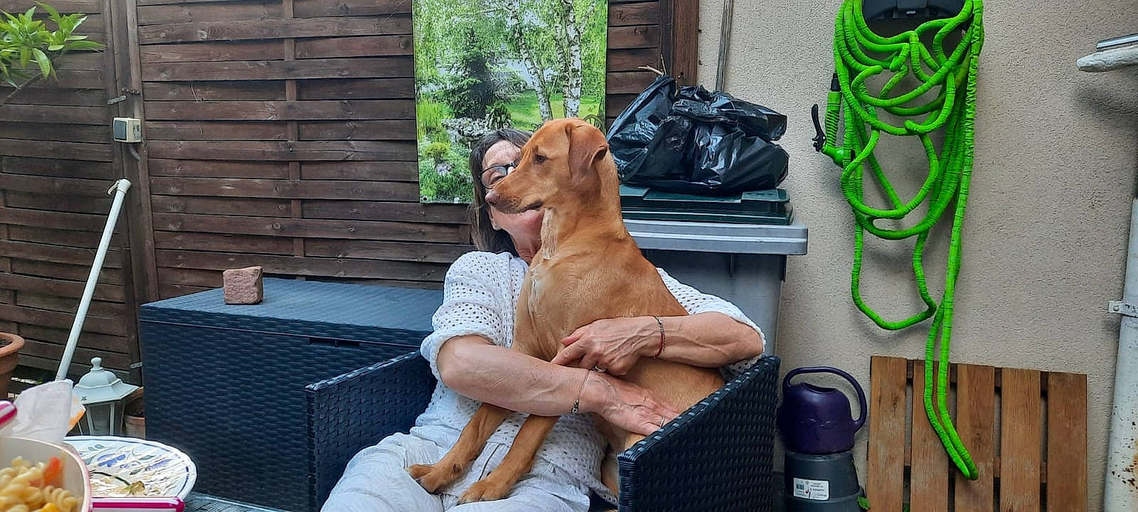 Sally participe au concours pour gagner de l'argent avec cette photo : bag, carnivore, comfort, companion_dog, dog, dog_breed, dog_collar, eyewear, fawn, foot, human_leg, leisure, luggage_and_bags, outdoor_furniture, personal_protective_equipment, sitting, sporting_group, sunglasses, working_animal, wrist