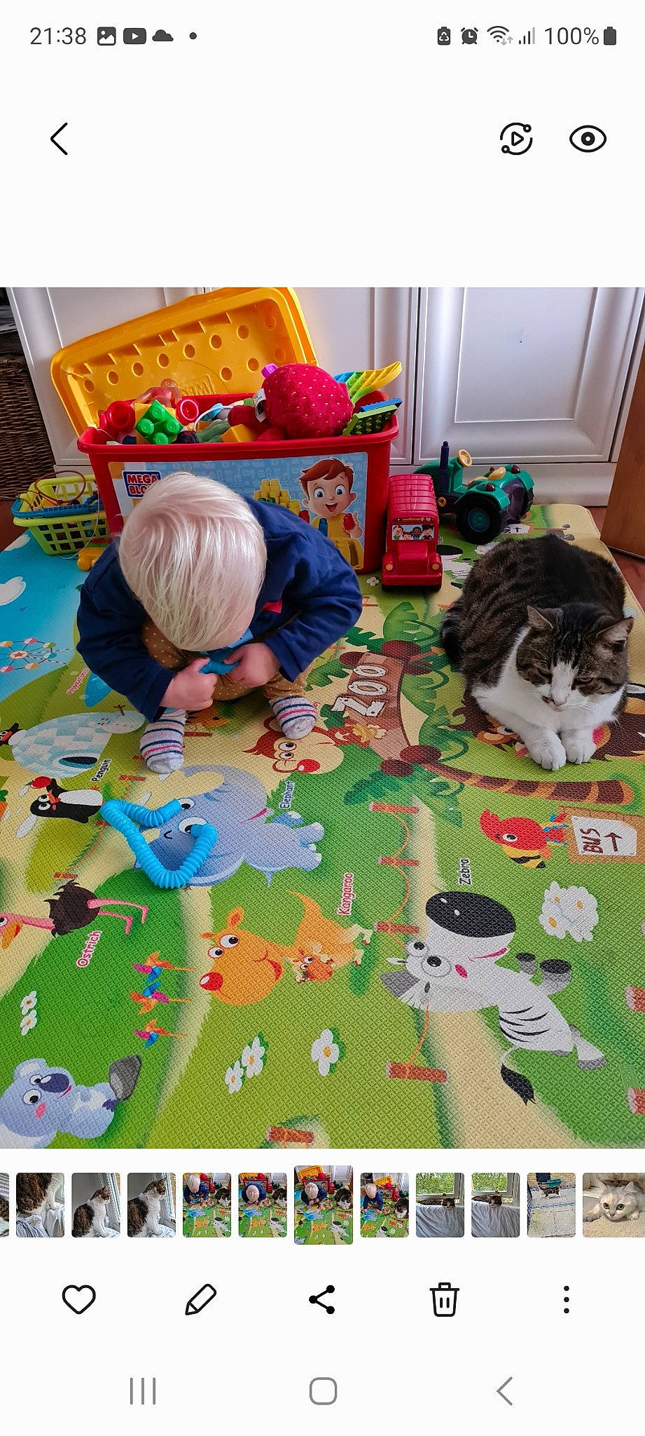 Casey is registered to the contest to win money with this photo: art, cat, felidae, floor, flooring, fun, grass, leisure, linens, pattern, play, playmat, recreation, room, sharing, textile, toddler, toy, visual_arts, whiskers