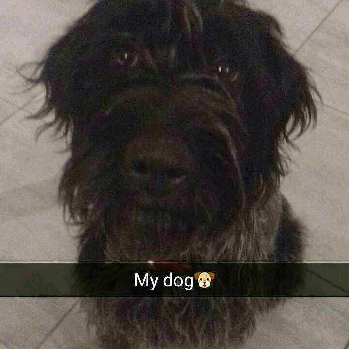 Mya