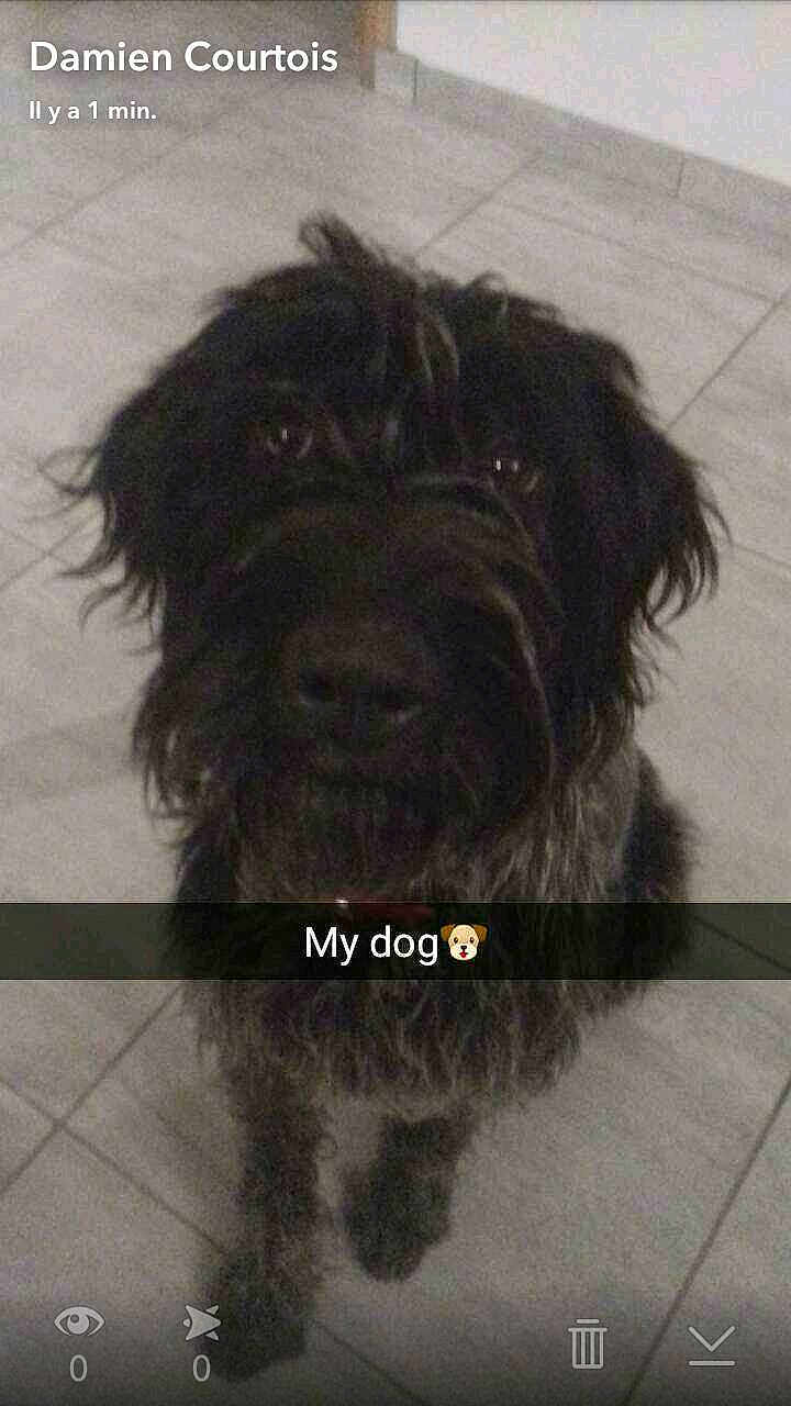 Mya