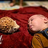 baby, infant, child, face, portrait, lying_down, curious, wooden_hedgehog, hedgehog, toy, blanket, burgundy, clothing, indoor, close_up, side_profile, eyes, nose_to_nose, cozy, photography