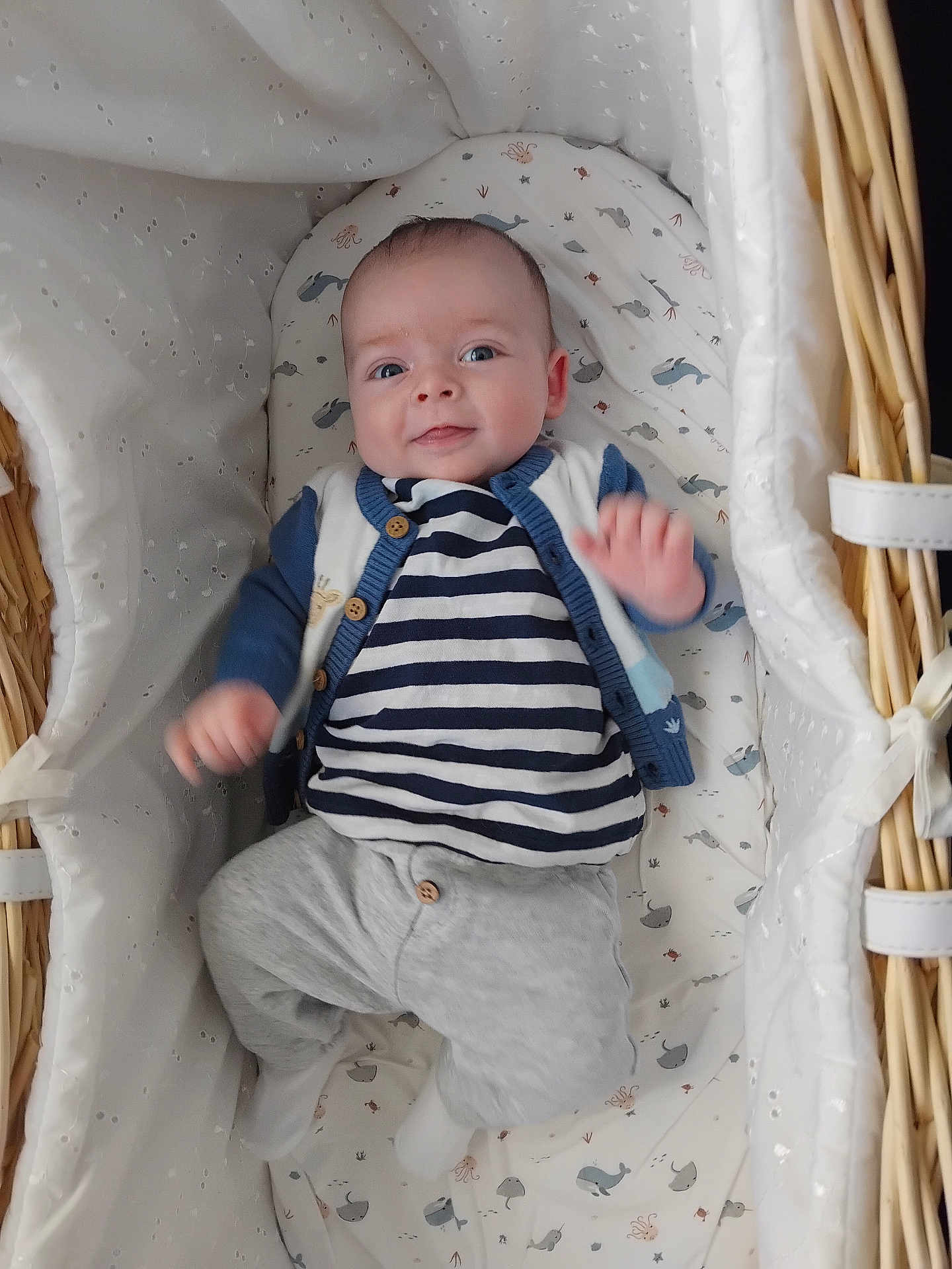 Alistair joined the competition — help win amazing prizes! baby, infant, bassinet, wicker, clothing, striped_shirt, cardigan, smile, face, person, soft_bedding, whale_pattern, cute, lying_down, cozy, indoor, child, newborn, happy, portrait