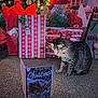 Moon joined the competition — help win amazing prizes! cat, tabby_cat, christmas_card, presents, holiday_lights, christmas_tree, carpet, gift_wrapping, decorations, festive, indoor, holiday, celebration, curious, pet, animal, striped_cat, christmas, cozy, seasonal