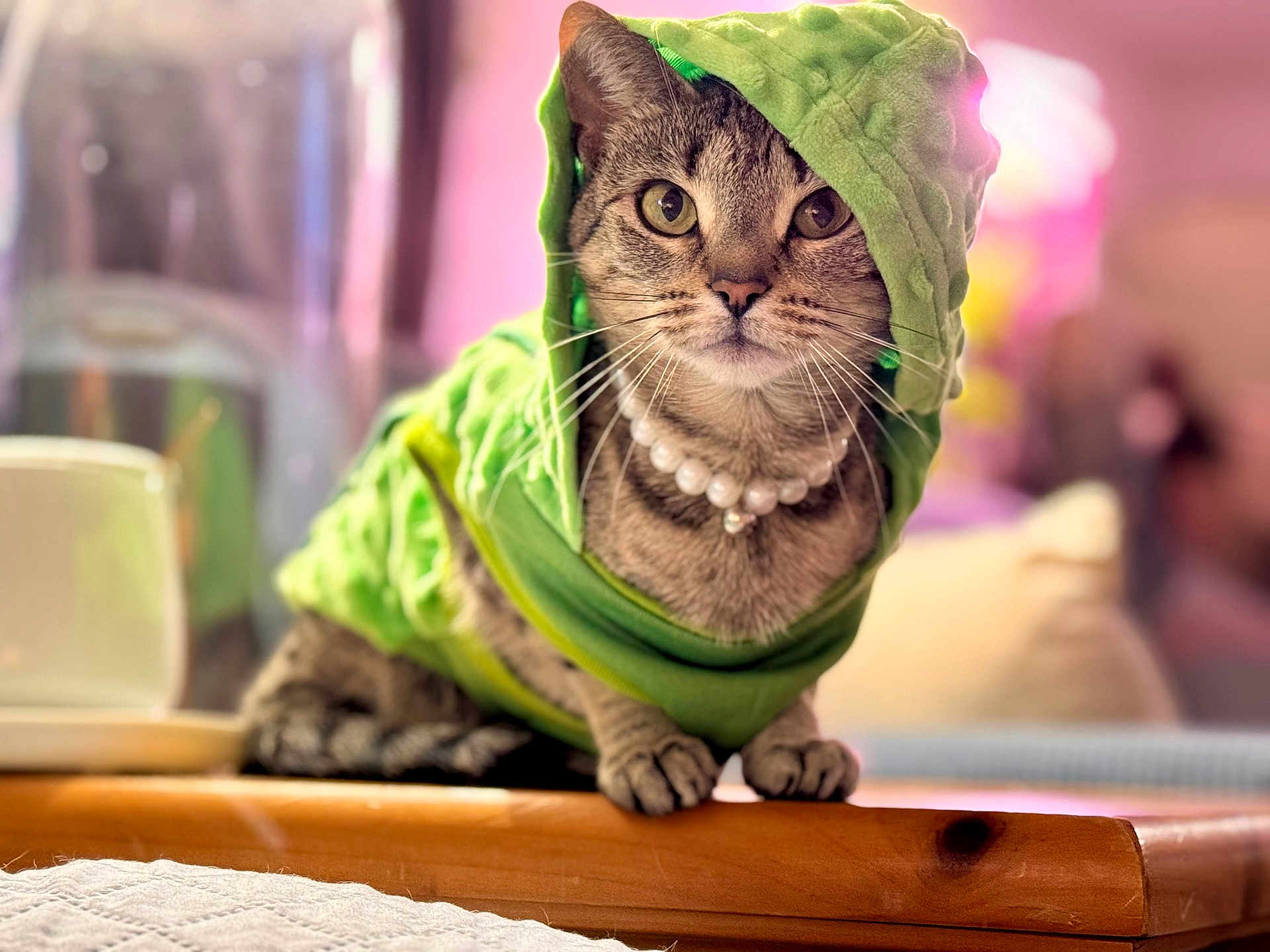 Moon joined the competition — help win amazing prizes! cat, tabby_cat, green_hoodie, pearl_necklace, pet, animal, indoor, wooden_surface, portrait, close_up, feline, cute, cozy, soft_light, blurred_background, domestic_animal, looking_at_camera, young_cat, sitting, fashion