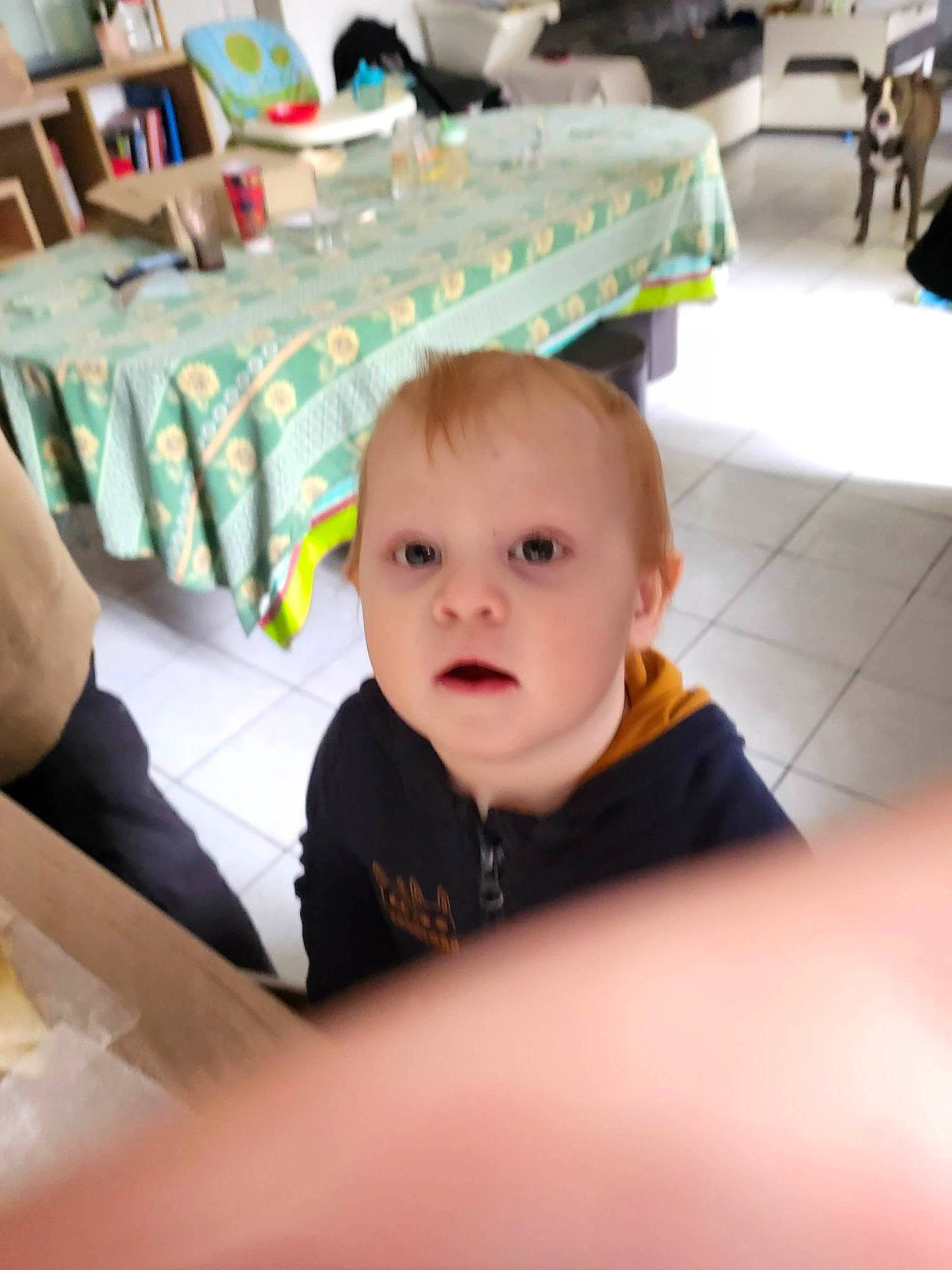 Marley a rejoint le concours — aidez-le/la à gagner de superbes lots ! baby, baby_toddler_clothing, chair, cheek, child, comfort, floor, flooring, fun, happy, hardwood, person, room, shelf, sitting, surprise, t_shirt, table, toddler, vacation