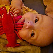 Bonnie a rejoint le concours — aidez-le/la à gagner de superbes lots ! baby, infant, plush_toy, lobster_toy, blanket, pillow, soft_toys, child, curious, lying_down, indoors, close_up, cute, face, hand, mouth, comfort, resting, warm_colors, cozy