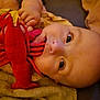 baby, infant, plush_toy, lobster_toy, blanket, pillow, soft_toys, child, curious, lying_down, indoors, close_up, cute, face, hand, mouth, comfort, resting, warm_colors, cozy