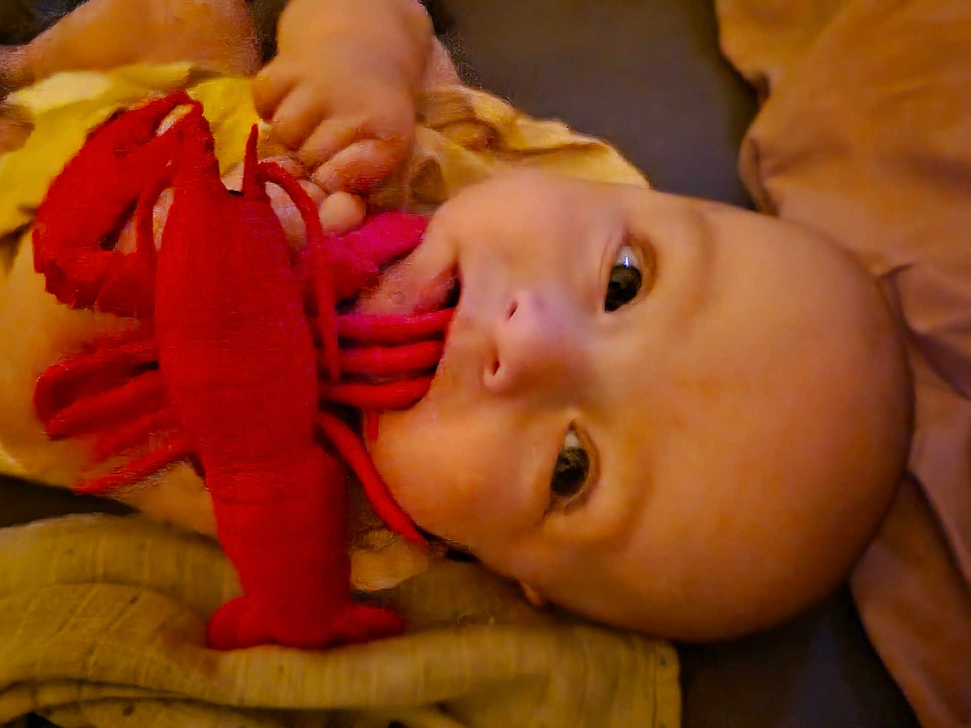 Bonnie a rejoint le concours — aidez-le/la à gagner de superbes lots ! baby, infant, plush_toy, lobster_toy, blanket, pillow, soft_toys, child, curious, lying_down, indoors, close_up, cute, face, hand, mouth, comfort, resting, warm_colors, cozy