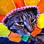 cat, tabby_cat, flower_hat, costume, pet, whiskers, close_up, indoor, animal, feline, face, ears, fur, cute, expression, colorful, felt, orange, yellow, green