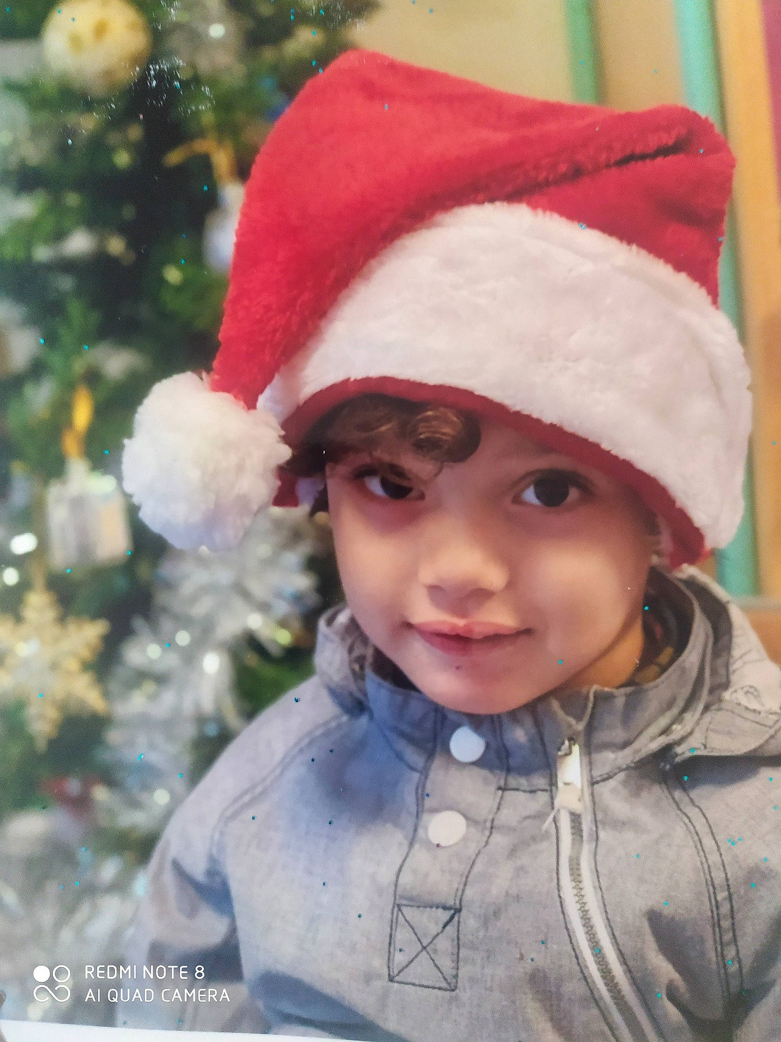 Issef participe au concours pour gagner de l'argent avec cette photo : cap, christmas_tree, clothing, eye, face, facial_expression, freezing, happy, head, headgear, headwear, human_body, jacket, lip, outerwear, person, photograph, plant, smile, toddler