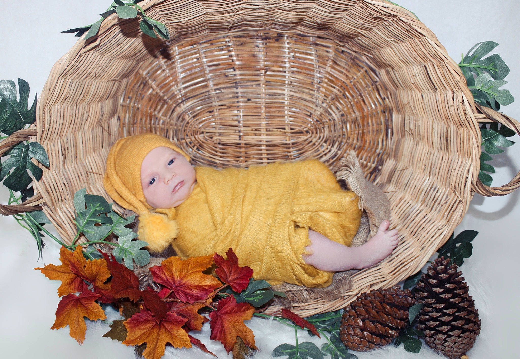 Maëlo participe au concours pour gagner de l'argent avec cette photo : art, basket, calabaza, child, christmas_decoration, circle, event, fashion_accessory, floral_design, flower_arranging, grass, headwear, ornament, person, plant, pumpkin, rose, storage_basket, toy, tree