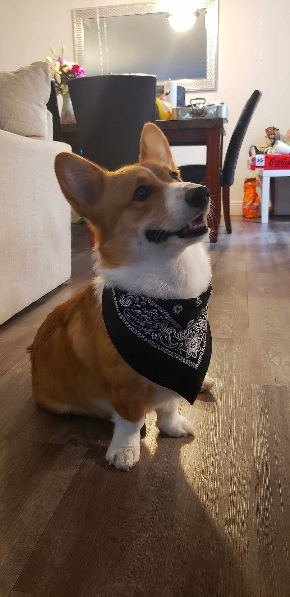 Archie