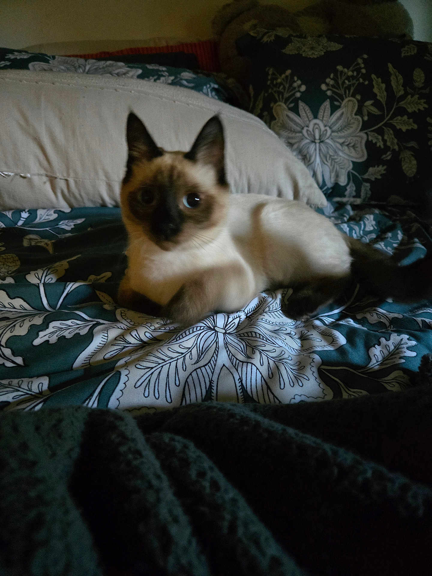 Pepper