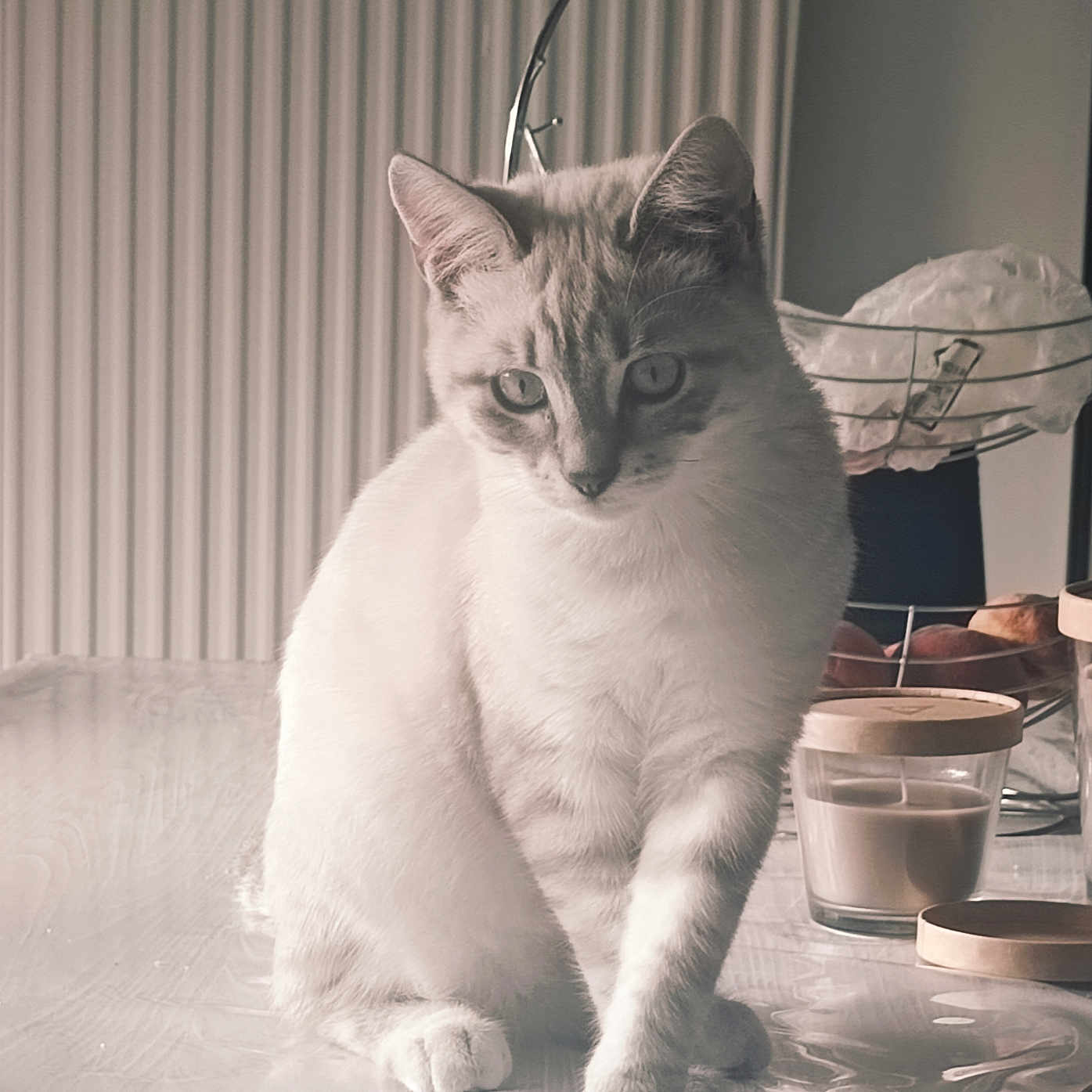Aiko