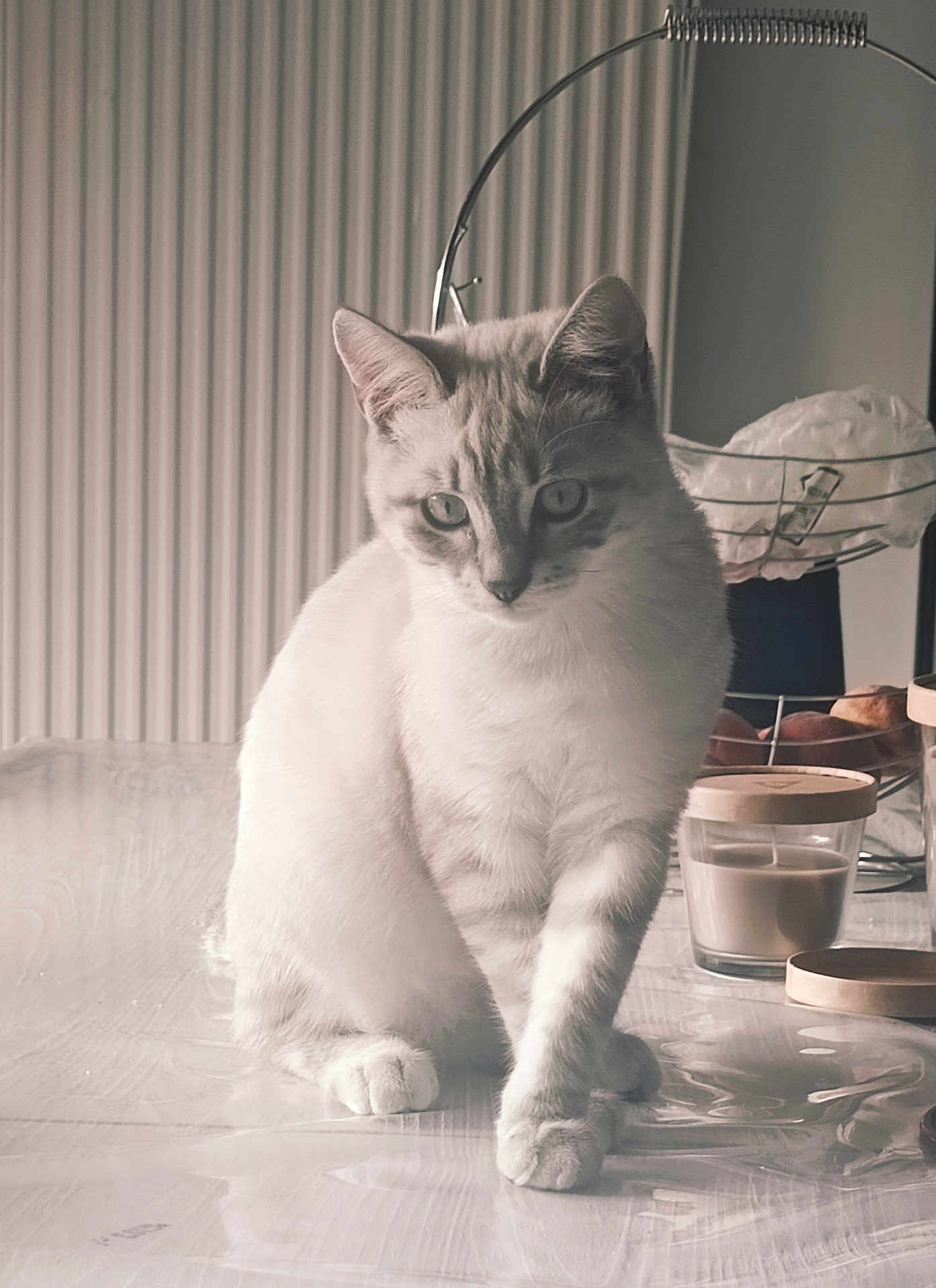 Aiko