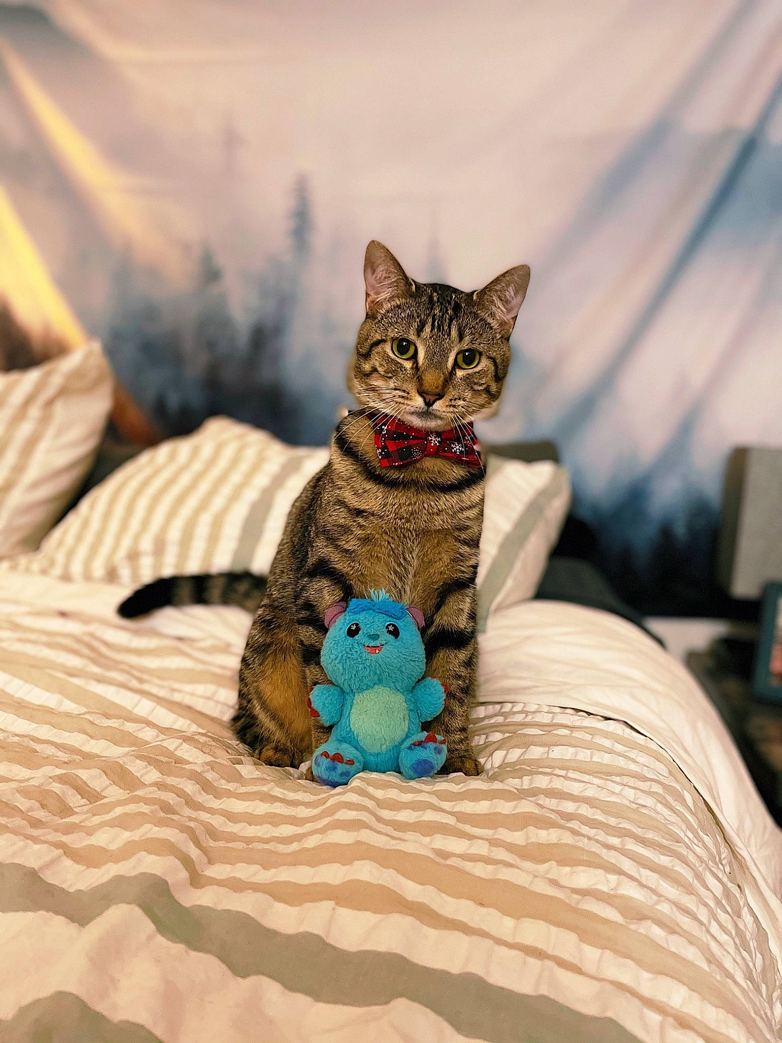 James joined the competition — help win amazing prizes! art, bedding, carnivore, cat, comfort, domestic_short_haired_cat, fawn, felidae, fur, grey, linens, pattern, sitting, small_to_medium_sized_cats, textile, toy, tree, whiskers, wildlife, wood