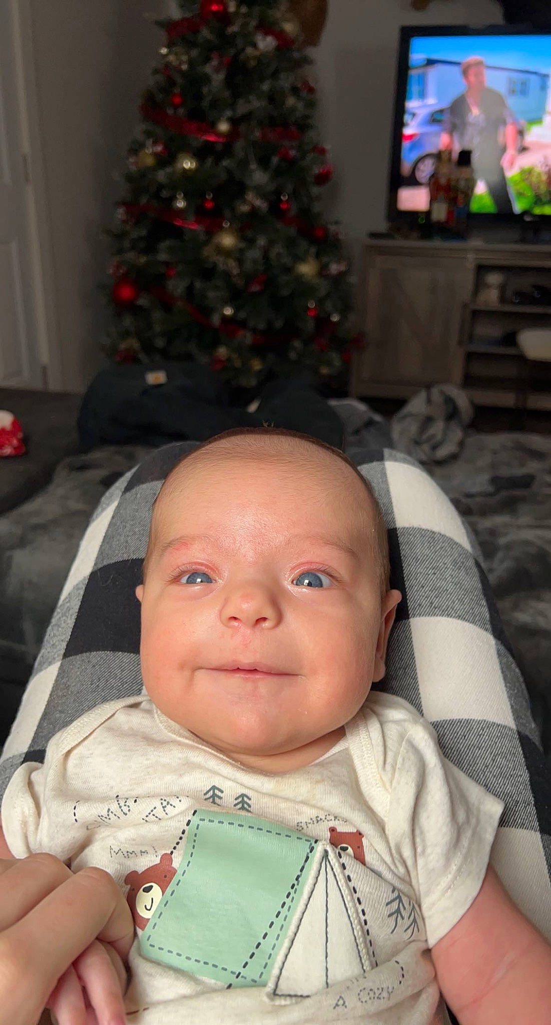 Alex is registered to the contest to win money with this photo: baby, baby_toddler_clothing, cheek, christmas_decoration, christmas_ornament, christmas_tree, eye, eyebrow, green, iris, lip, nose, person, photograph, plant, skin, smile, snapshot, standing, toddler