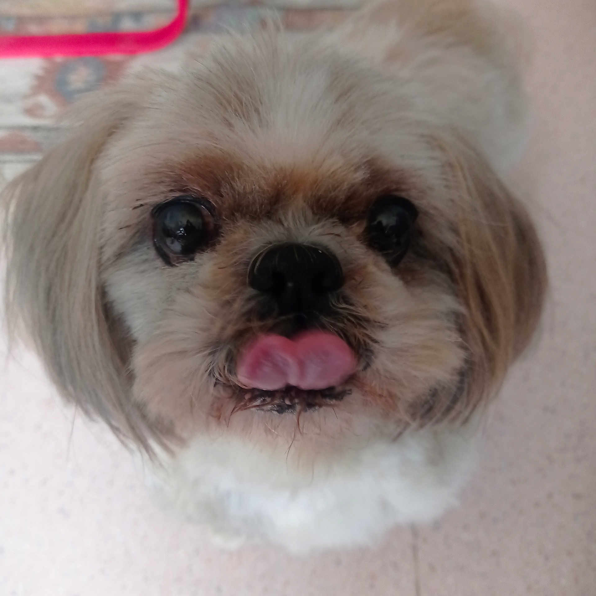Bamby