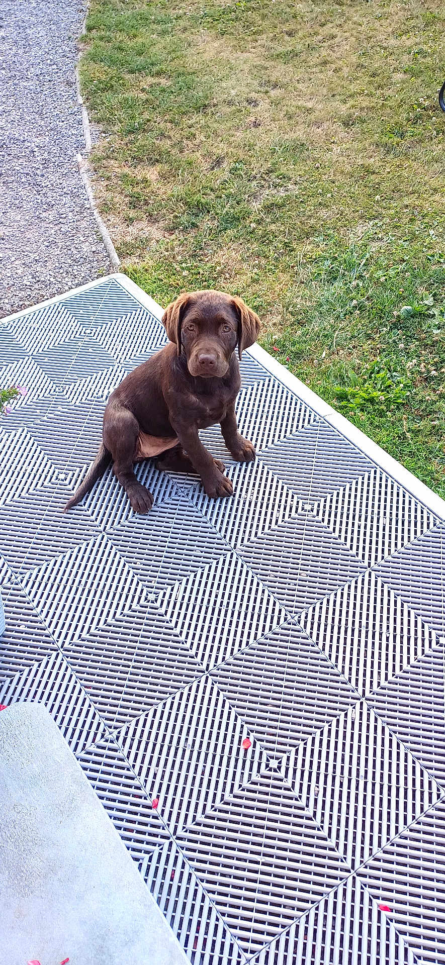 Abby