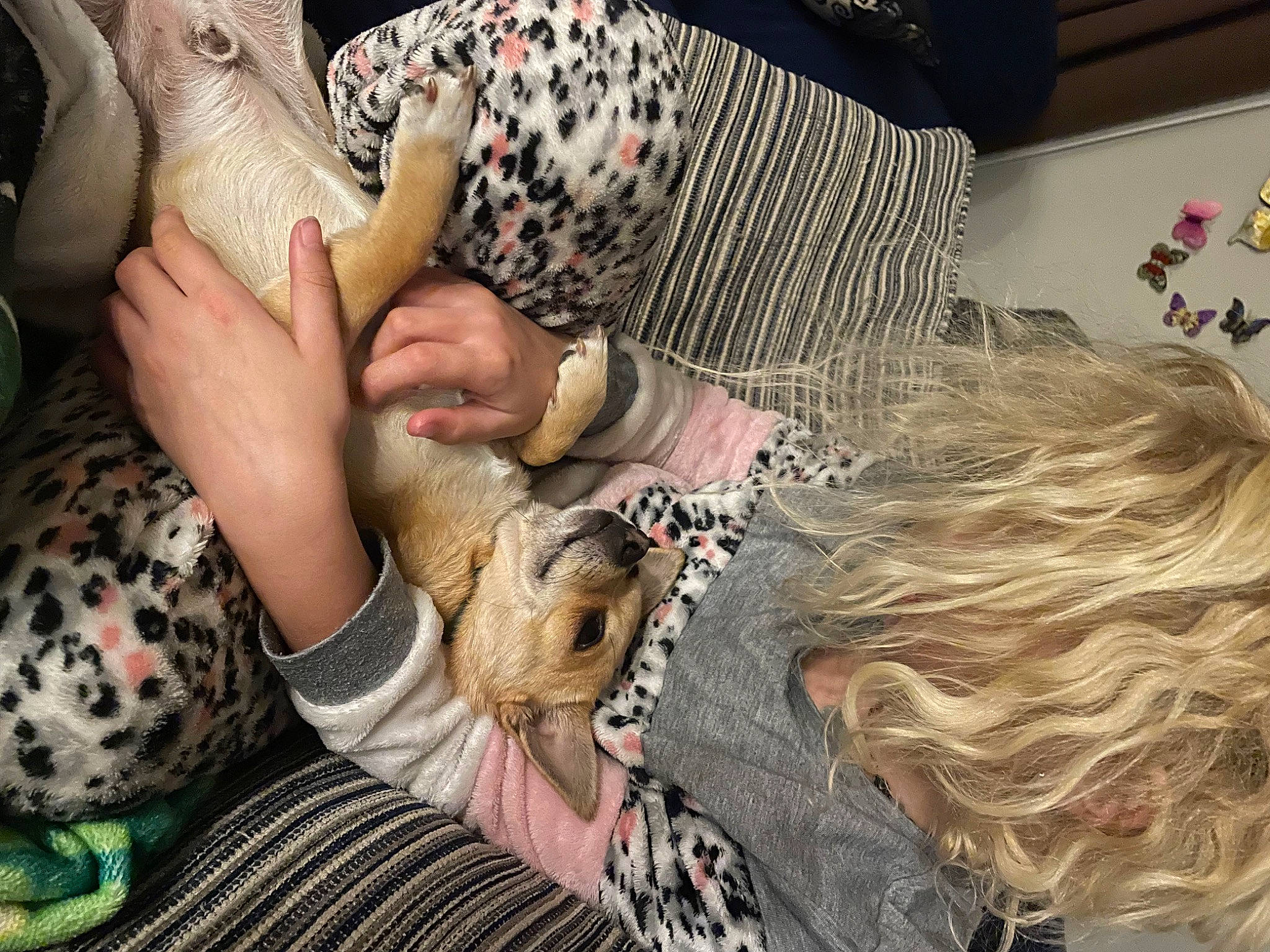 Bowie is registered to the contest to win money with this photo: bony_fish, companion_dog, dog_breed, fashion_design, fawn, felidae, fish, fisherman, fishing, flesh, fur, hair_coloring, human_leg, nail, pattern, ray_finned_fish, tattoo, tattoo_artist, wildlife, wildlife_biologist