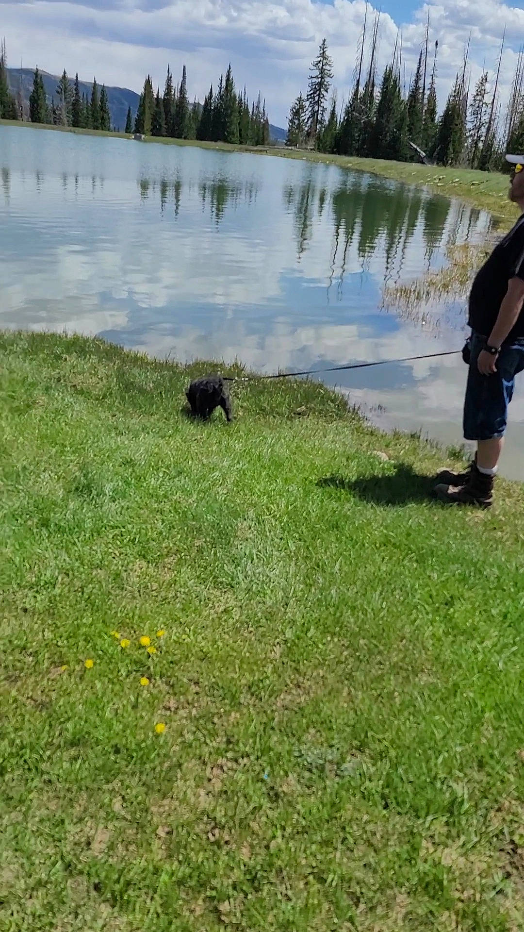 Galaxy Rain is registered to the contest to win money with this photo: bank, body_of_water, grass, grass_family, grassland, lacustrine_plain, lake, landscape, natural_landscape, pasture, plant, recreation, reservoir, sky, tree, water, water_bird, watercourse, wetland, wildlife