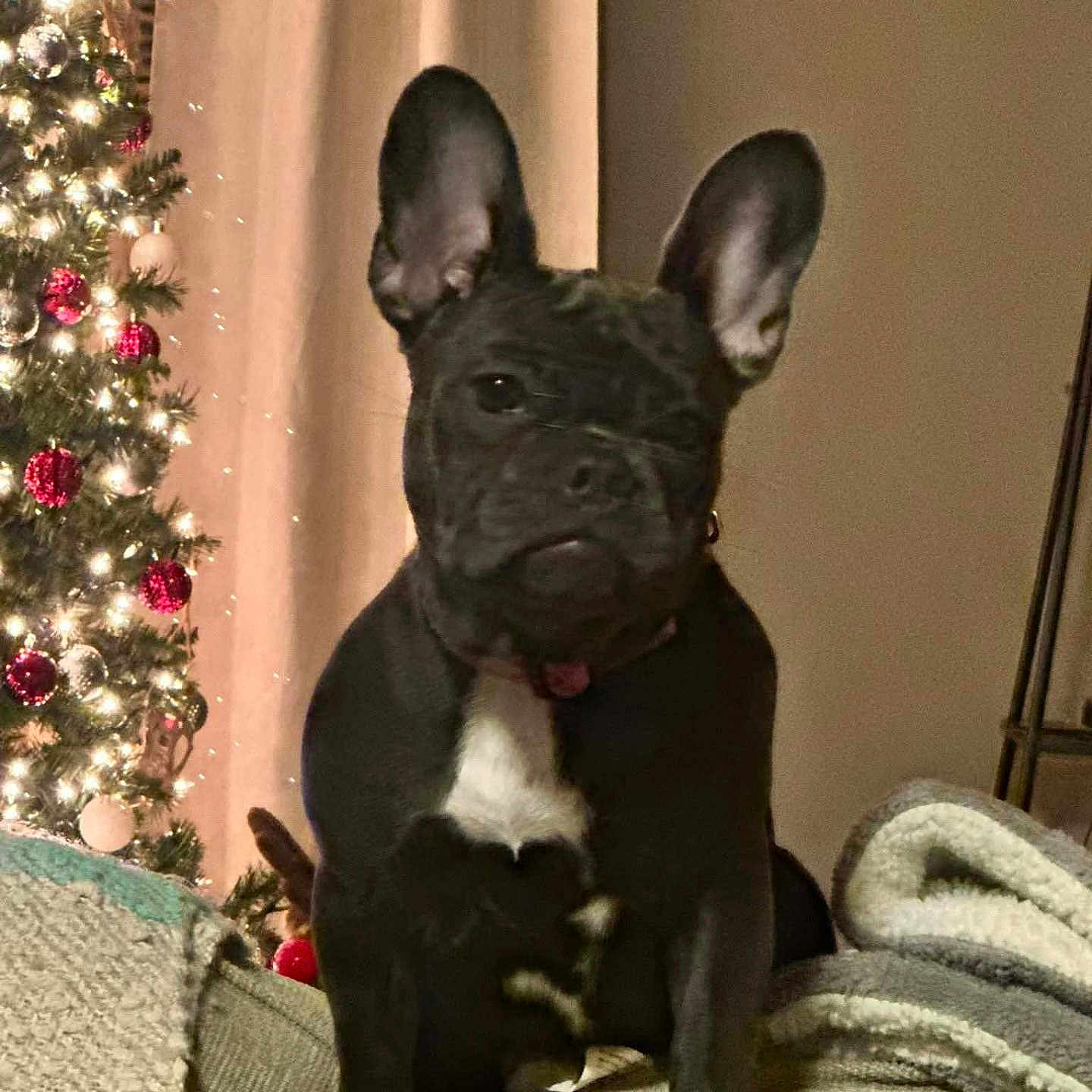 Luna