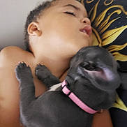 Luna is registered to the contest to win money with this photo: child, sleeping, puppy, dog, black_dog, pink_collar, cuddle, close_up, indoor, pillow, pattern, bedroom, resting, cute, pet, friendship, tender, cozy, nap, young