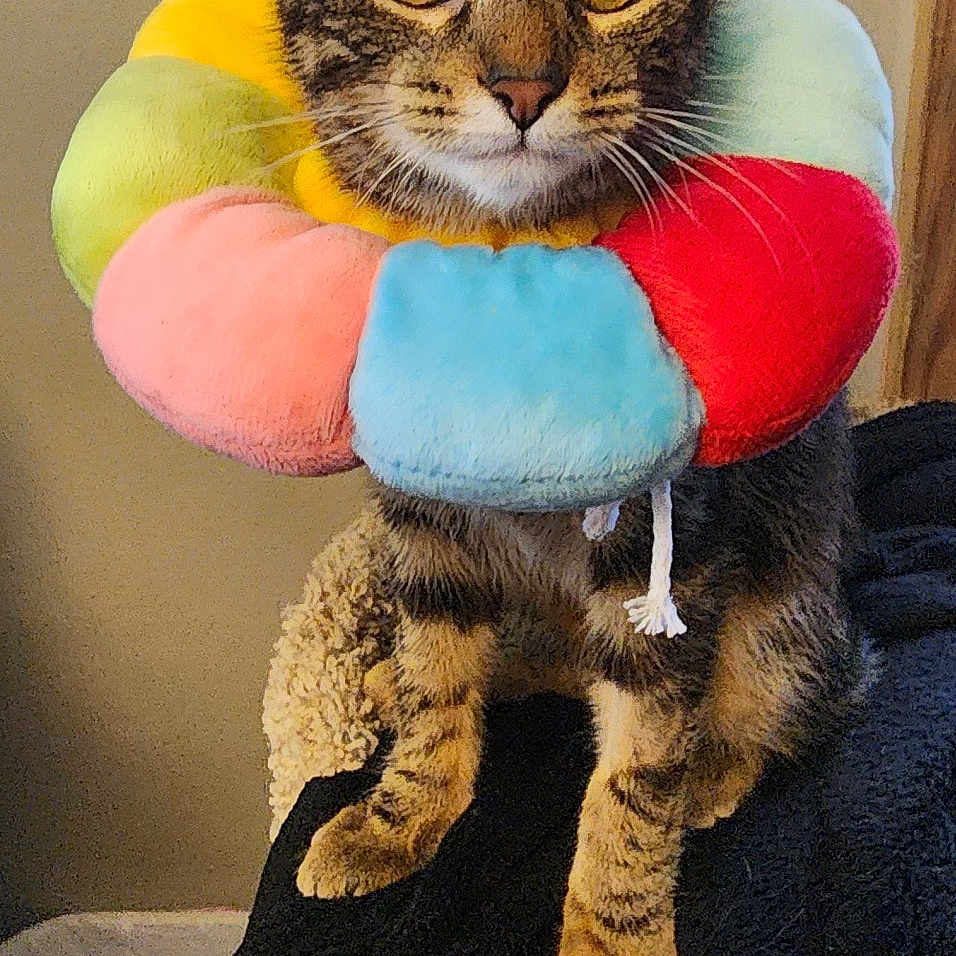 Shere-khan