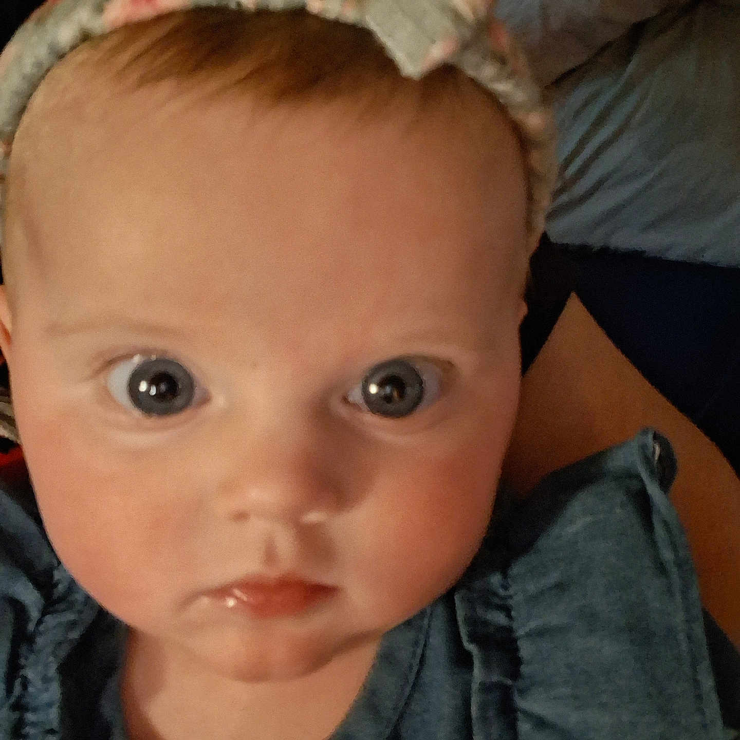 Leilanni joined the competition — help win amazing prizes! baby, blue_clothing, bow, child, close_up, curious_eyes, cute, expression, face, head, headband, human, indoor, infant, knitted_headband, looking_at_camera, person, portrait, skin, young_child
