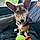 Scout