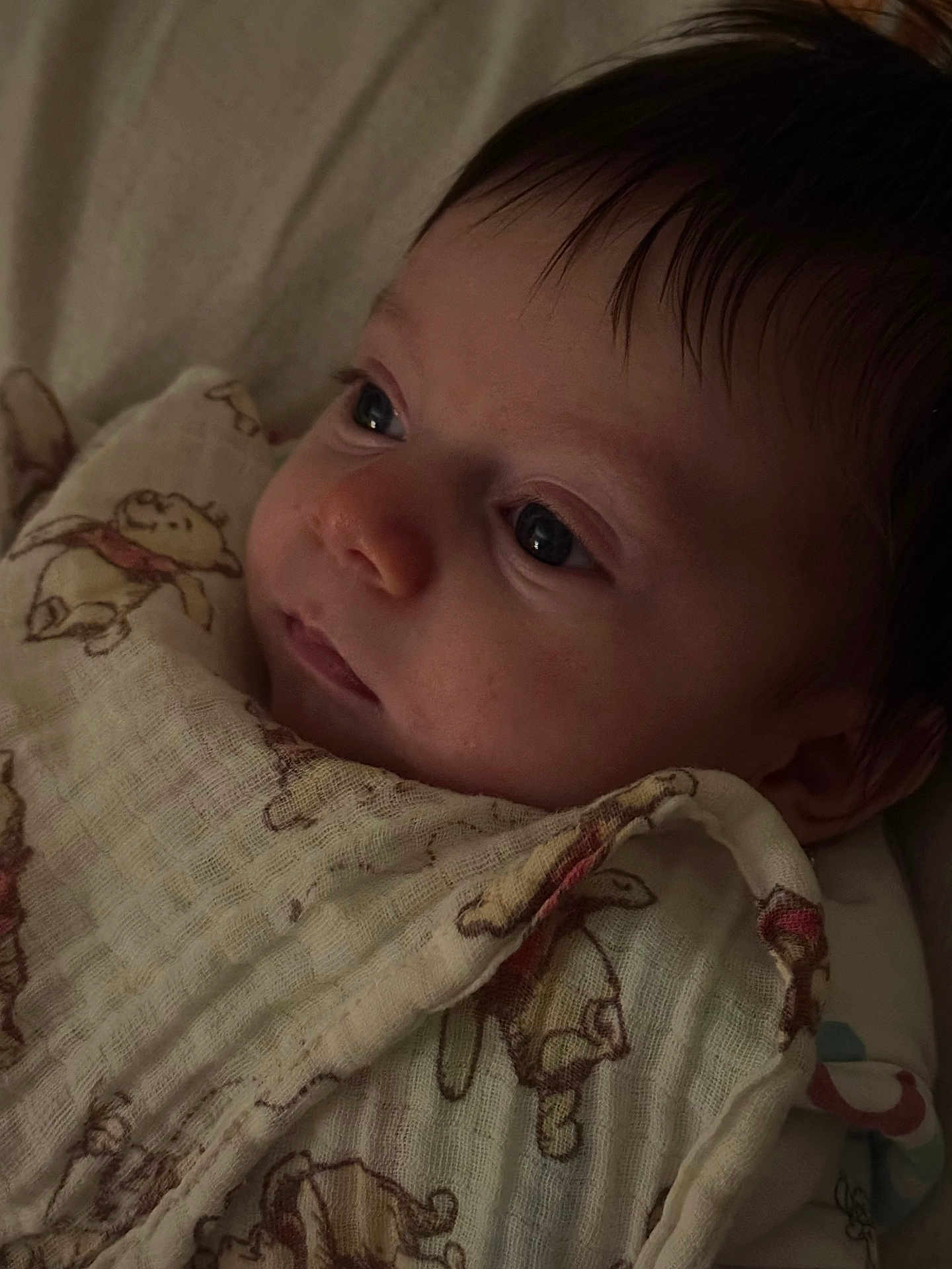 Luca is registered to the contest to win money with this photo: baby, infant, face, blanket, winnie_the_pooh, soft_lighting, close_up, child, portrait, sleepwear, cute, young, newborn, expression, cozy, indoors, resting, person, head, calm